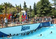 hotel riccione vicino aquafan