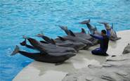 hotel riccione vicino ai parchi divertimento